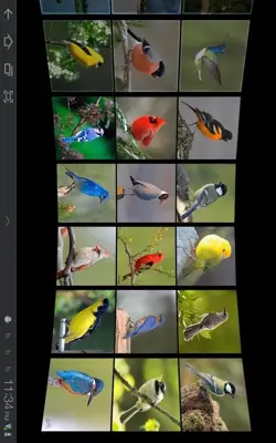 Gallery Wall 3D android App screenshot 4